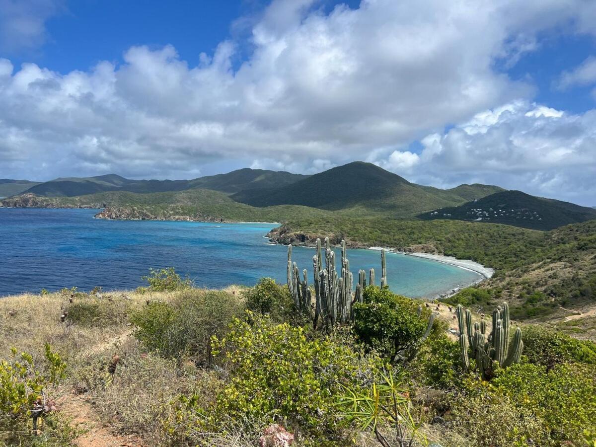 Blue Pearl Villa In St John Usvi Coral Bay Exteriér fotografie